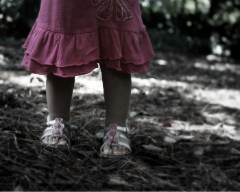 群英会娱乐：探索多元化的娱乐活动与精彩体验