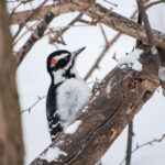 《勇士之城》震撼直播:全城热战即刻开启! 53tl1k