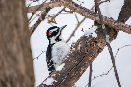 《勇士之城》震撼直播:全城热战即刻开启! 《勇士之城》震撼直播:全城热战即刻开启!