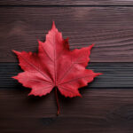 《今日说法》直播现场:直击案件背后的真相追踪 ppjv19afy1