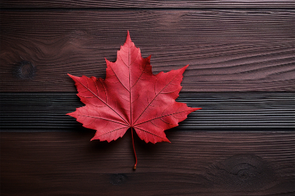 《今日说法》直播现场：直击案件背后的真相追踪