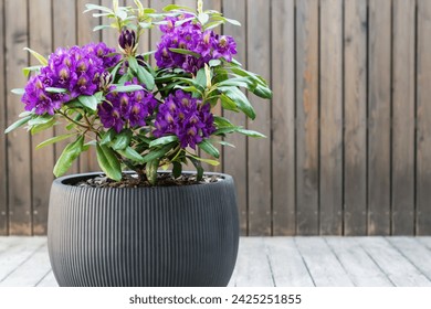 《动物总动员》开奖盛典全程精彩回顾 《动物总动员》开奖盛典全程精彩回顾